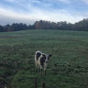 Meet your Posher, Wendy